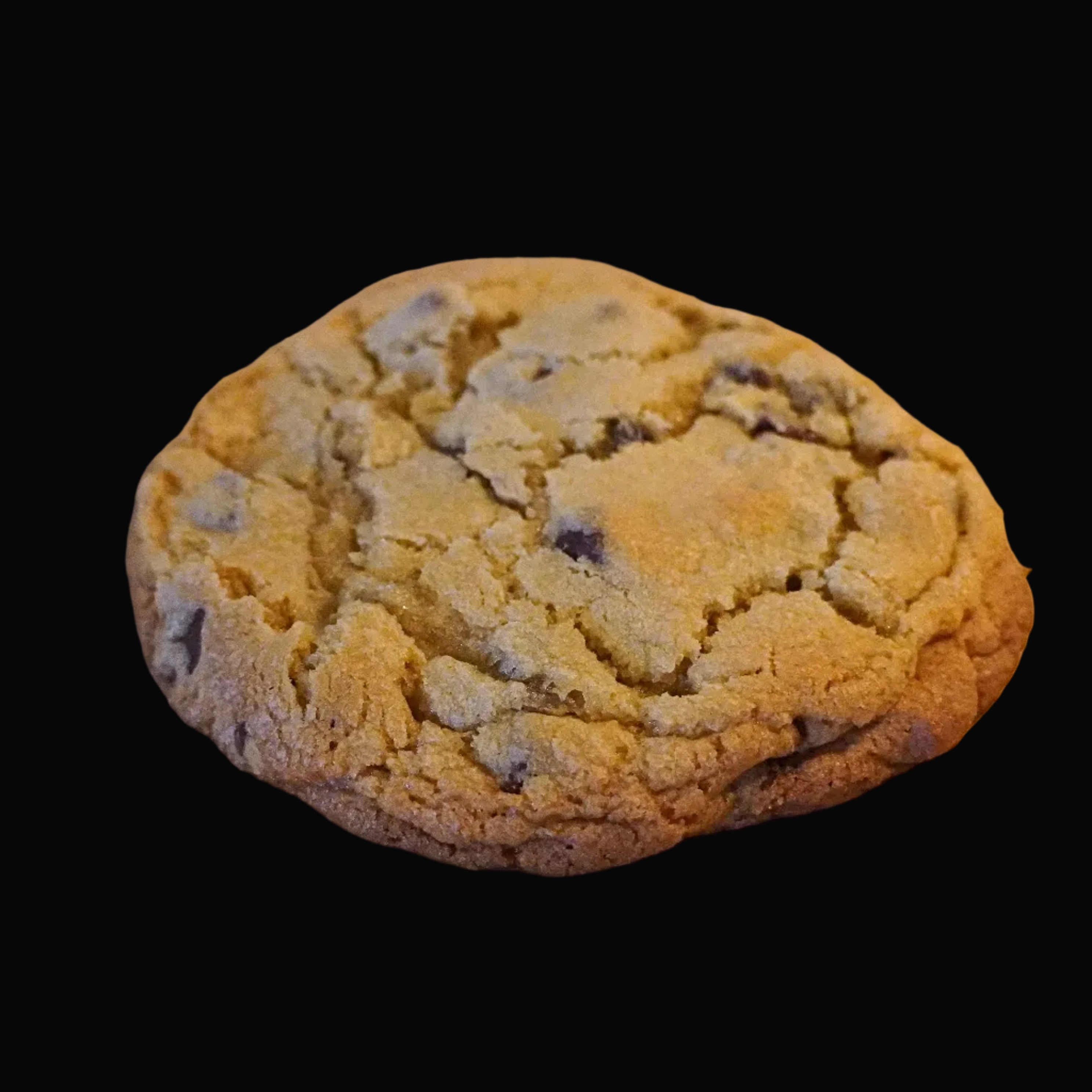 chocolate chip cookie